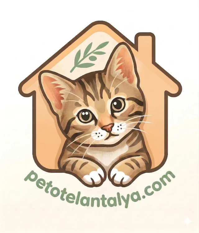 Pet Otel Antalya logosu: evin içinden bakan tekir kedi